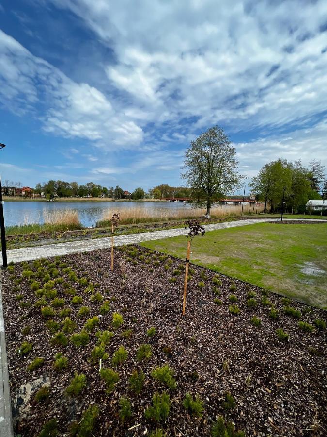 Green Apartament Dziwnow Bagian luar foto